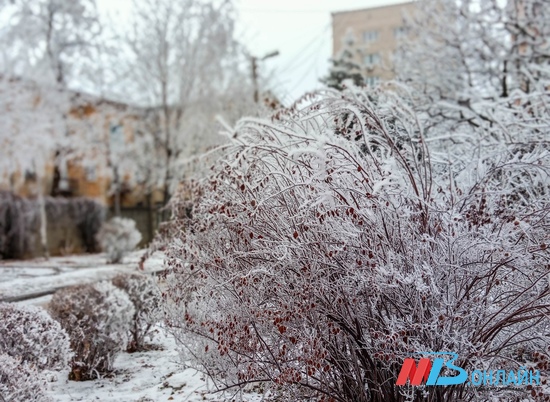 В Волгоградской области в конце недели прогнозируют мокрый снег при +2º