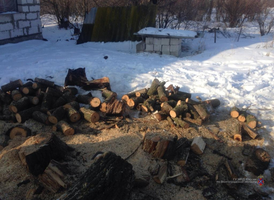 Под Волгоградом мужчина незаконно срубил 10 клёнов на дрова