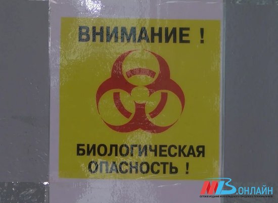 В Волгоградской области за сутки выявили 237 новых случаев коронавируса