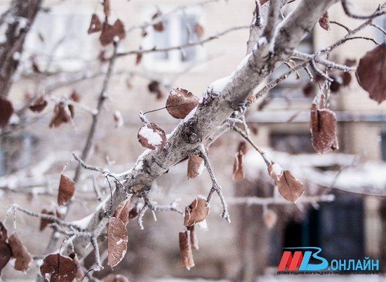 В пятницу в Волгограде ожидается мокрый снег и +6º