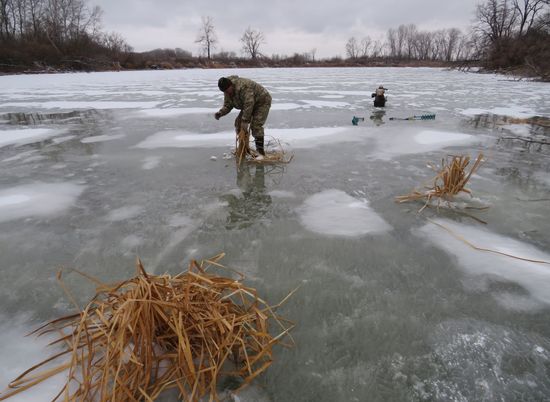 В природных парках Волгоградской области рыбу спасают от замора