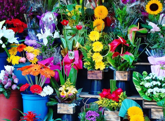 Где купить цветы в Волгограде перед 8 Марта: адреса цветочных базаров