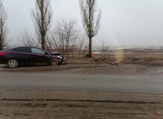 Под Волгоградом иномарка влетела в дерево: водителя доставили в больницу