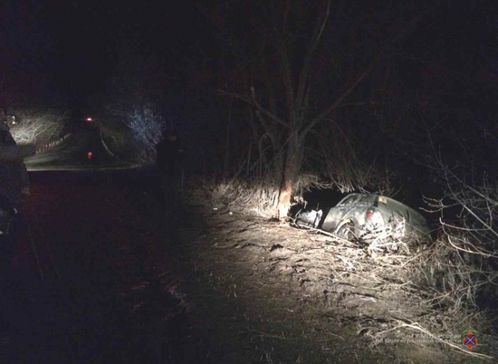 В Волгоградской области иномарка слетела с трассы и врезалась в дерево