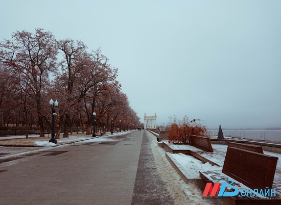 Дожди и туман ожидаются в Волгоградской области 24 марта