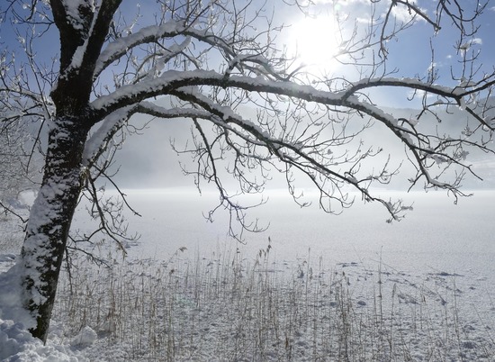 В пятницу в Волгоградской области продолжится мартовский снегопад