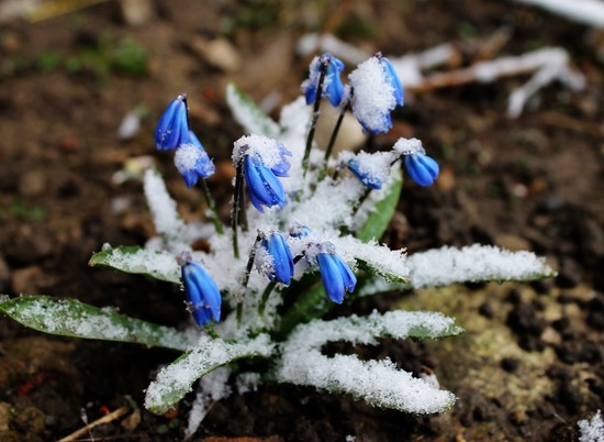 28 марта в Волгоградской области ожидаются мокрый снег и +8 градусов тепла