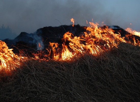 2 апреля в двух районах Волгограда проведут контролируемый пал  сухой травы