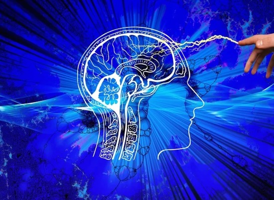 Человеческий мозг подключили к компьютеру по беспроводной связи