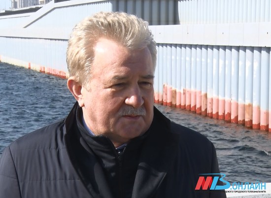 Депутат Госдумы Москвичев назвал срок сдачи моста через Волжскую ГЭС