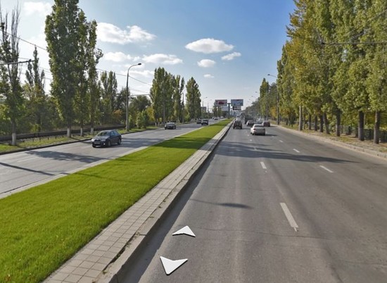 В Волгограде на бульваре пр. Ленина высадят 1800 хвойных деревьев
