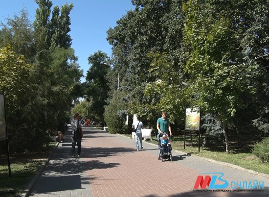 Власти Котово Волгоградской области оштрафованы за срыв благоустройства