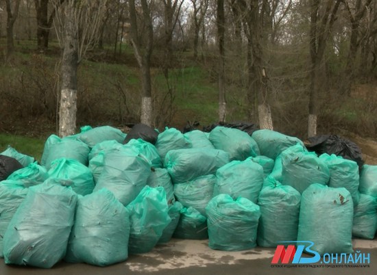 В Волгограде убрали мусор на склоне набережной у Нулевой продольной