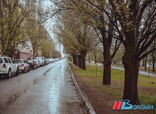 27 апреля в Волгоградской области ожидаются дожди при +14º