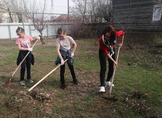 В Волгограде волонтеры помогли 400 ветеранам ВОВ с начала года