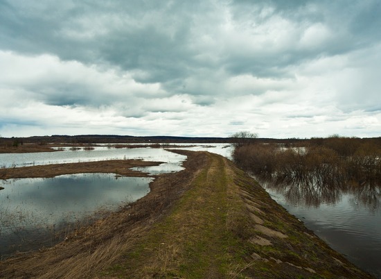 В селе под Волгоградом разлившаяся река Голая повредила старый мост