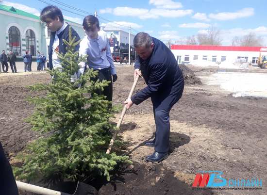 Андрей Бочаров посадил дерево в сквере Железнодорожников