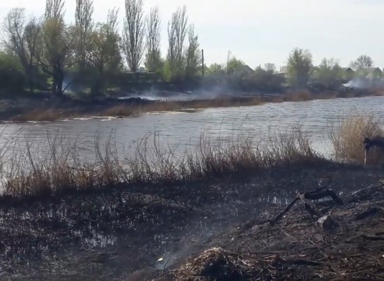 Опубликовано видео крупного ландшафтного пожара под Волгоградом