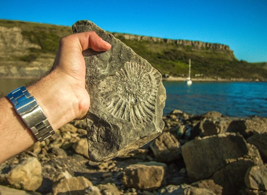 В Шотландии нашли окаменелость возрастом 1 млрд лет