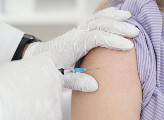 Волгоградский облздрав опроверг данные о нехватке вакцины от бешенства