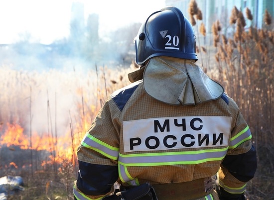 В Волгоградской области введен особый противопожарный режим