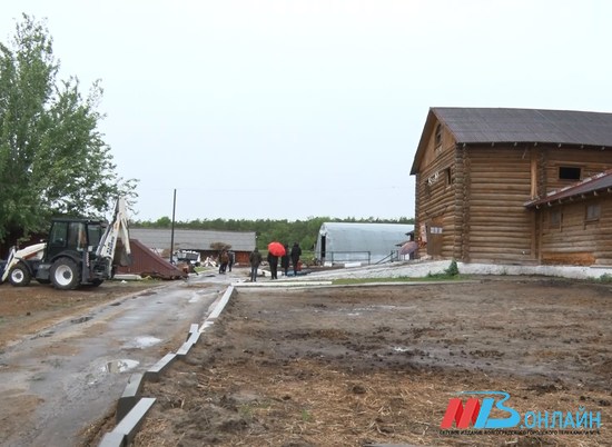 Дело о сносе «Соснового бора» в Волгограде рассмотрят повторно 16 июня