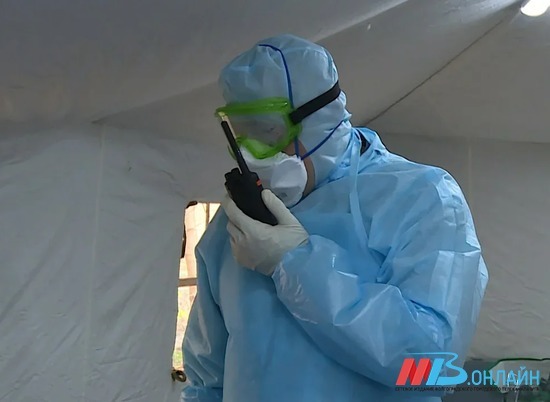 В Волгоградской области 5 мужчин и 3 женщины умерли от коронавируса