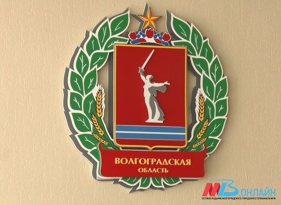 30 новых членов Общественной палаты выберут в Волгоградской области