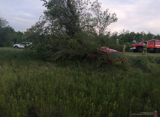В Волгоградской области в ДТП погибли пассажирка и водитель без прав