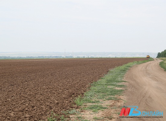 В Волгоградской области стартует кампания по уборке зерновых