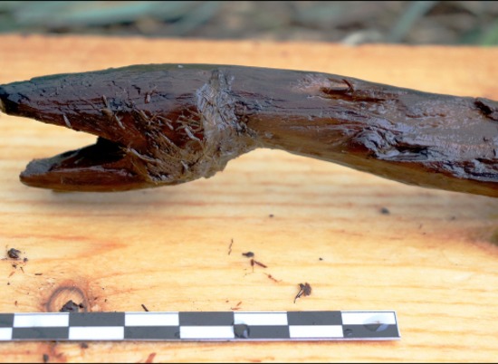 В болоте в Финляндии нашли артефакт возрастом более 4000 лет