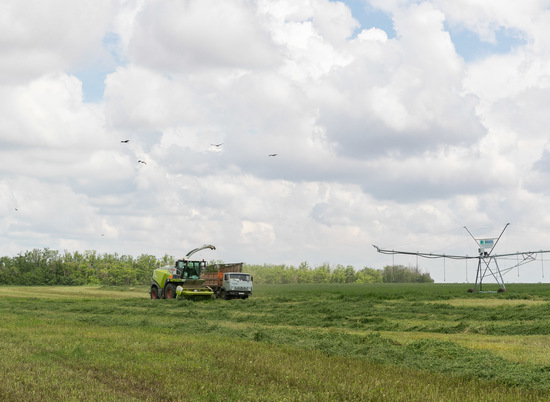 В Волгоградской области продолжается заготовка кормов