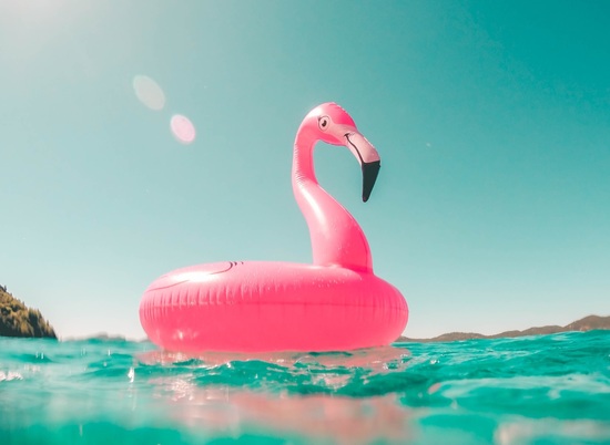 Гигантский надувной фламинго появился на пруду в ЦПКиО Волгограда