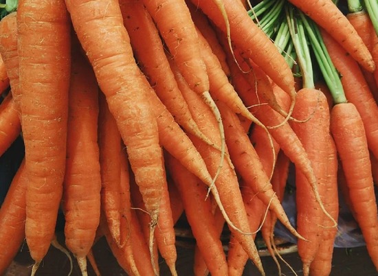Стало известно, как изменились цены на морковь и капусту в Волгограде