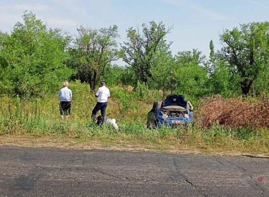 На волгоградских дорогах за сутки в ДТП пострадали 7 детей