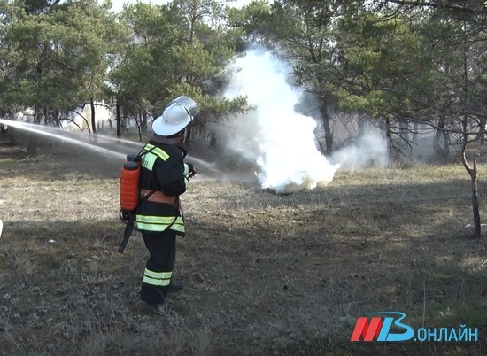14 лестных пожаров произошли в Волгоградской области с начала года