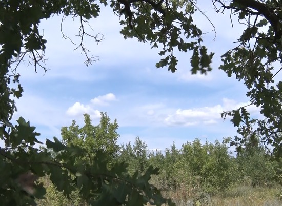 Экстремальная жара вернётся в Волгоградскую область