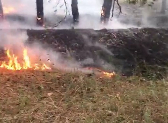 Волгоградские спасатели продолжают тушить пожар в Даниловском районе