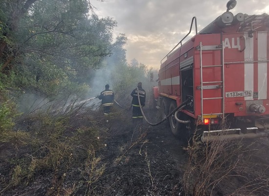 Вторые сутки тушат 200 гектаров горящего леса в Волгоградской области