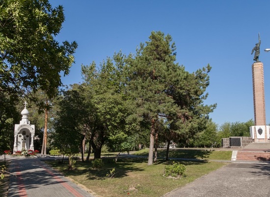Площадь Чекистов в Волгограде дополнительно украсят еще 195 деревьев и кустарников