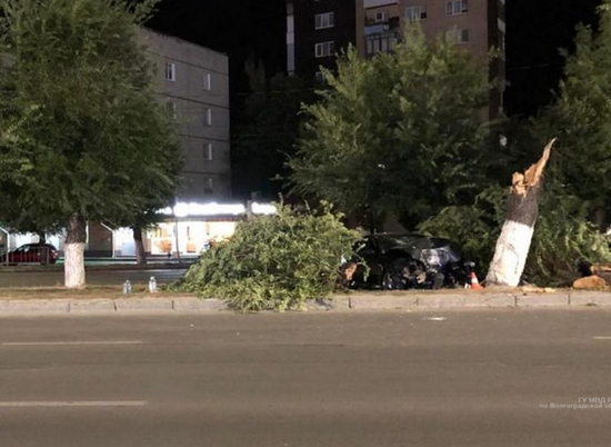 В Волгограде иномарка врезалась в дерево, пострадали три человека