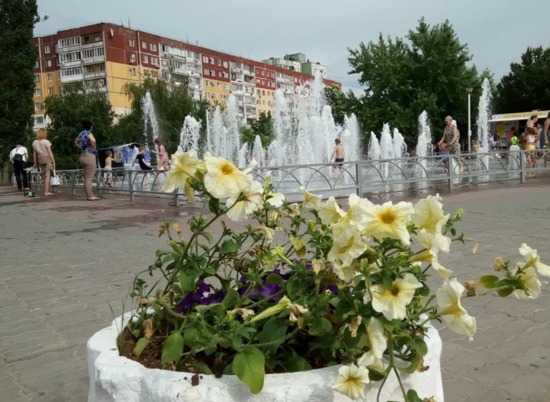 Волгограду 25 августа обещают солнечную, безветренную погоду и +28 °С