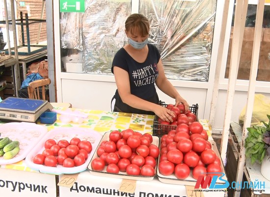 Огурцы и помидоры в Волгоградской области стали дешевле на 3%