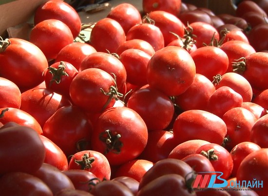 Свежие помидоры подорожали на 8% в Волгоградской области