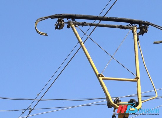 В Волгограде восстановили контактную сеть трамваев после падения вяза