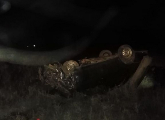 В Волгоградской области легковушка вылетела в кювет, пострадали 2 человека