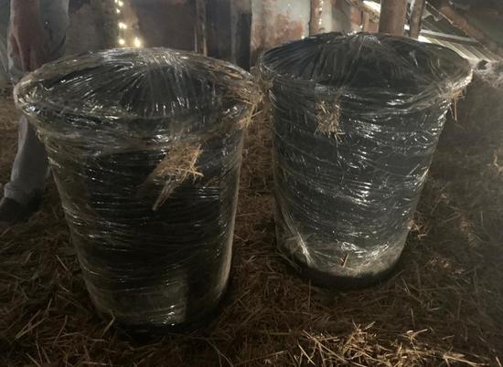 Волгоградца задержали за хранение 21 кг каннабиса и выращивание конопли
