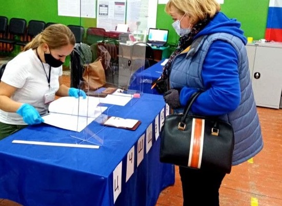 Явка в третий день выборов в Волгоградской области превысила 53%