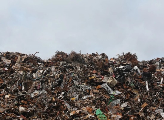 На берегу Волги 30 волгоградских бегунов собрали тонну мусора