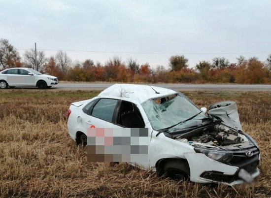 На трассе в Волгоградской области таксист сбил диких кабанов